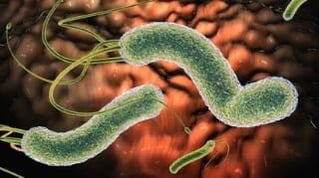 Паразиты в теле